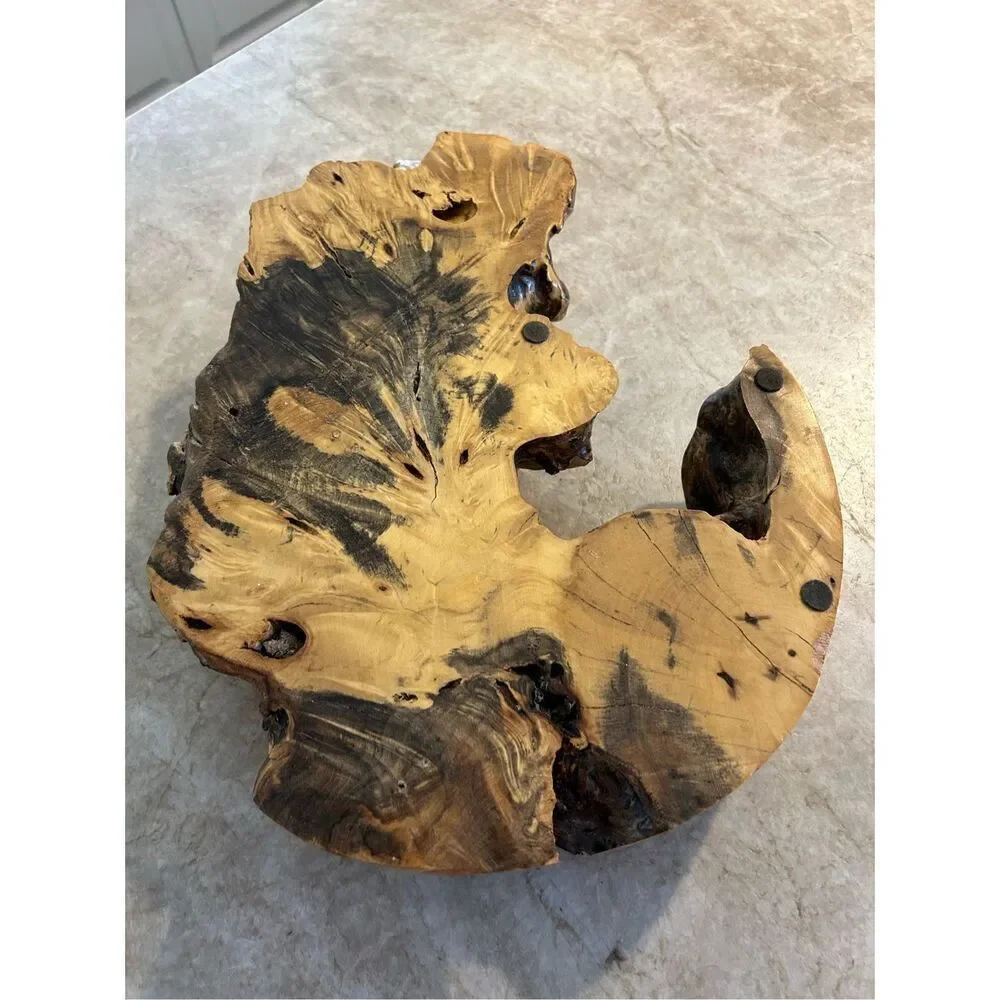 Driftwood Specimen Display